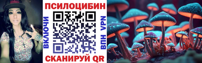 Галлюциногенные грибы MAGIC MUSHROOMS  купить  сайты  Истра 